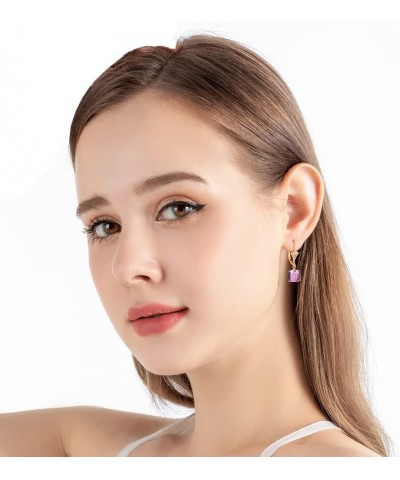 Austrian Crystal Cube Drop Earrings for Women Leverback Dangle Earrings 14K Gold Plated Hypoallergenic Jewelry Amethyst $13.1...