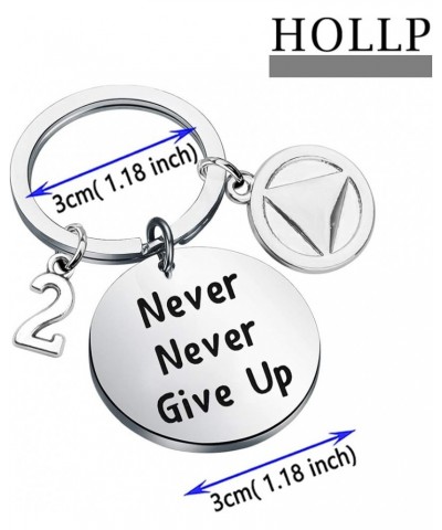 Sobriety Keychain Sober 1/2/5 Years Anniversary Keychain Sobriety Jewelry 2 Years $9.34 Necklaces