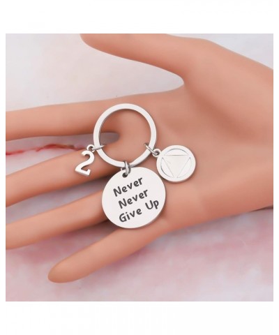 Sobriety Keychain Sober 1/2/5 Years Anniversary Keychain Sobriety Jewelry 2 Years $9.34 Necklaces