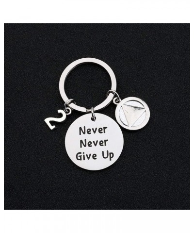 Sobriety Keychain Sober 1/2/5 Years Anniversary Keychain Sobriety Jewelry 2 Years $9.34 Necklaces