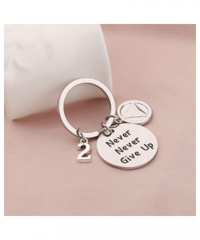 Sobriety Keychain Sober 1/2/5 Years Anniversary Keychain Sobriety Jewelry 2 Years $9.34 Necklaces