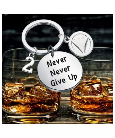 Sobriety Keychain Sober 1/2/5 Years Anniversary Keychain Sobriety Jewelry 2 Years $9.34 Necklaces