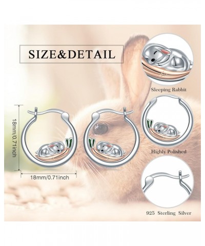 Snail/Guinea Pig/Owl/Frog/Rabbit/Duck/Ladybug Hoop Earrings 925 Sterling Silver Animal Earrings Cute Jewely Gift for Women Gi...