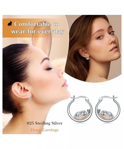 Snail/Guinea Pig/Owl/Frog/Rabbit/Duck/Ladybug Hoop Earrings 925 Sterling Silver Animal Earrings Cute Jewely Gift for Women Gi...