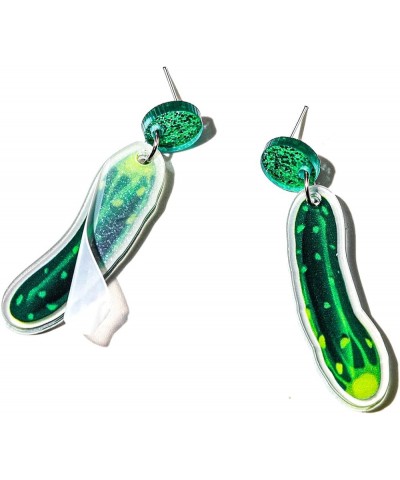 Unique Weird Acrylic Drop Dangle Earrings Funny Lifelike Dill Pickle Cucumber Earrings for Women Girls Cute Gag Green Dangle ...