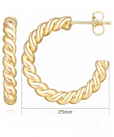 14K Gold Hoop Earrings for Women Small Chunky Gold Hoop Earrings Twisted Rope Round Gold Hoops Earrings for Women (16.5mm/25m...