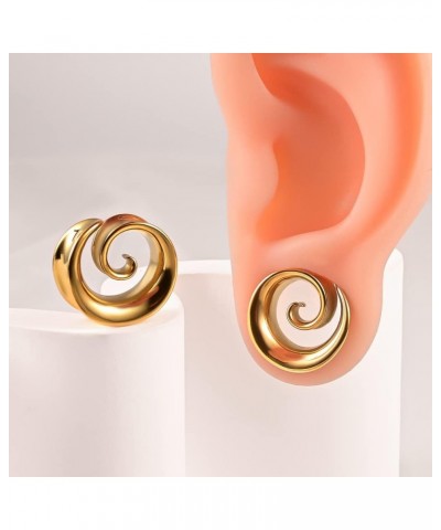 2PCS Spiral Saddle Ear Tunnels Plugs 316 Stainless Steel Ear Gauges Hypoallergenic Earrings Expander Stretcher Piercing Body ...