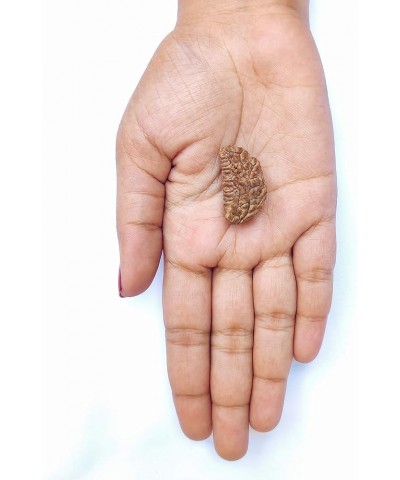 Original Nepali Rudraksha Bead/Rudraksha Bead Natural Rudra Religious Rosary Bead Rudra bead 1 mukhi $33.03 Necklaces