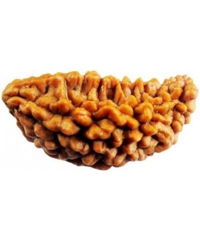 Original Nepali Rudraksha Bead/Rudraksha Bead Natural Rudra Religious Rosary Bead Rudra bead 1 mukhi $33.03 Necklaces